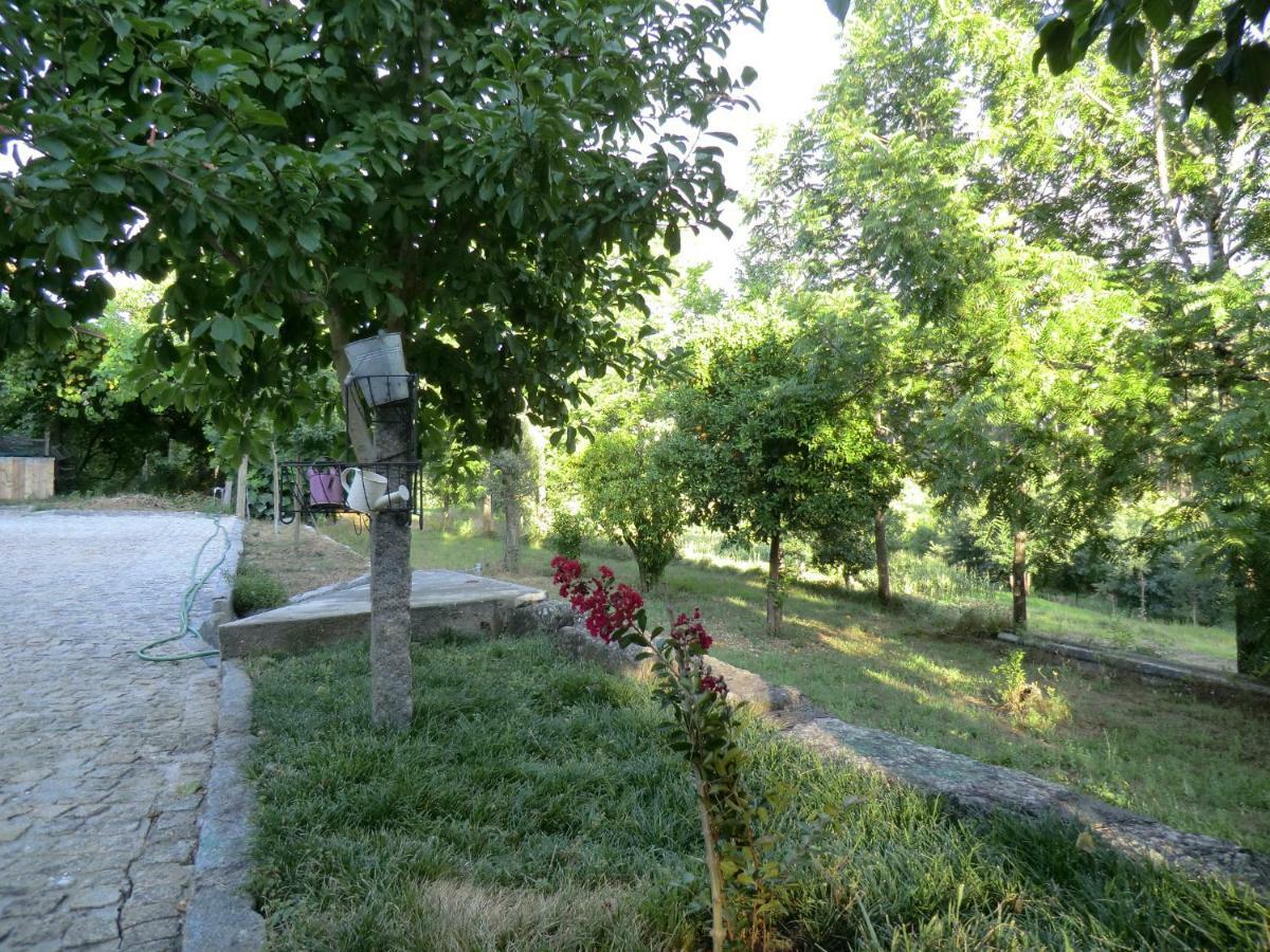 Vianashome Амаранте Экстерьер фото
